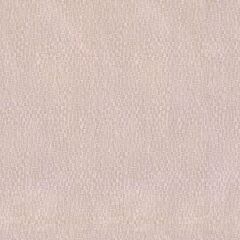 DECOWALL RİNA DUVAR KAĞIDI 701-04