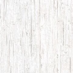 DECOWALL RİNA DUVAR KAĞIDI 702-04