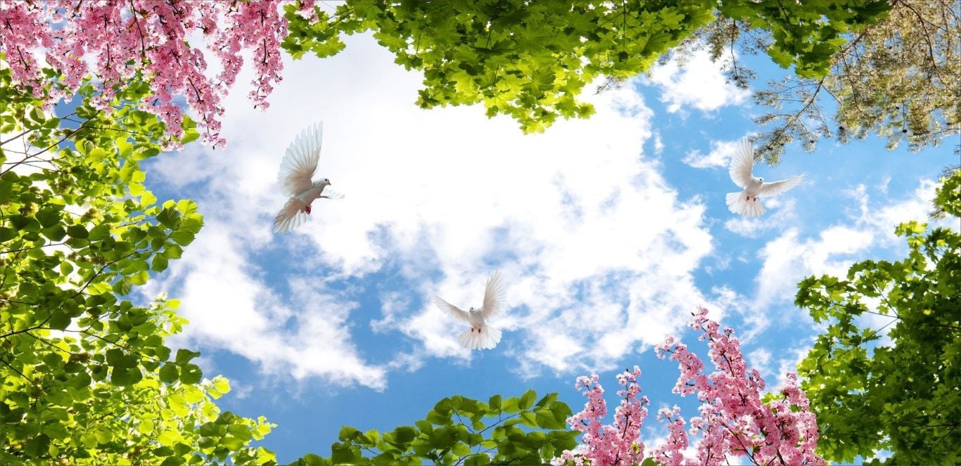 ÇİÇEKLER KUŞLAR VE GÖKYÜZÜ DUVAR POSTERİ